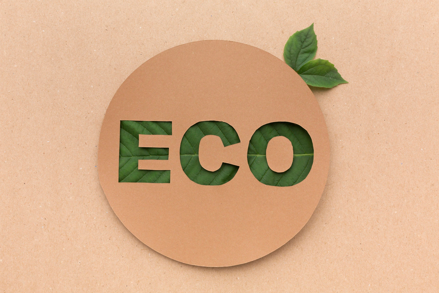 Eco-Friendly